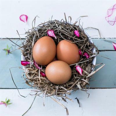 EGGS