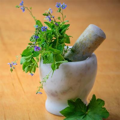 MICRO HERBS