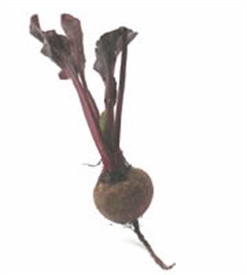 BEETROOT BABY RED 500GM BAG