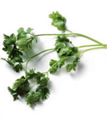 CORIANDER WHOLE KG