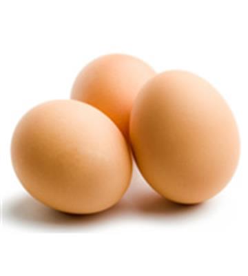 EGGS NO 7 TRAY