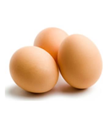 EGGS NO 6 TRAY