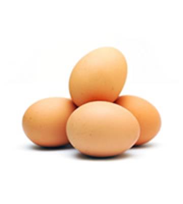EGGS NO 7 BOX