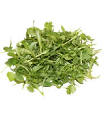 MICRO COMBI PUNNET