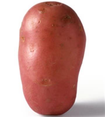 POTATO RED WASHED TABLE KG