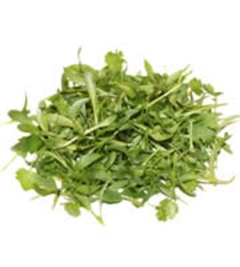 MICRO GREEN PUNNET