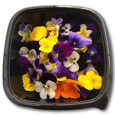 FLOWERS EDIBLE SMALL 20CT PUNNET