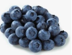 BLUEBERRIES PUNNET